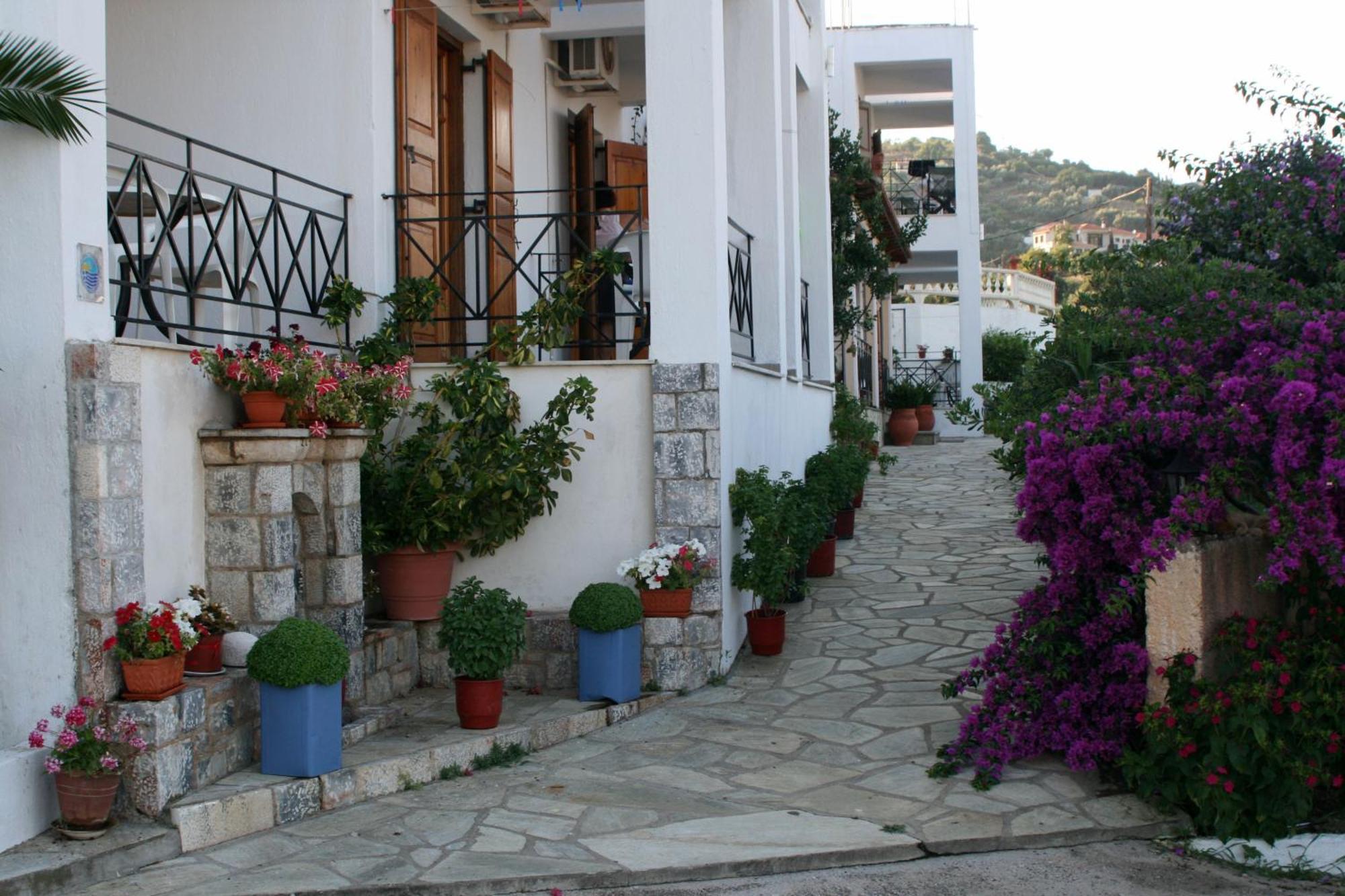 Hotel Albatros à Skopelos Extérieur photo